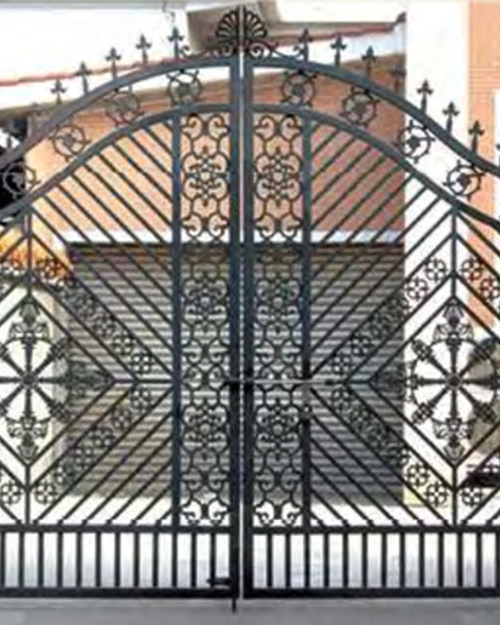 Entry Gate TL-1008