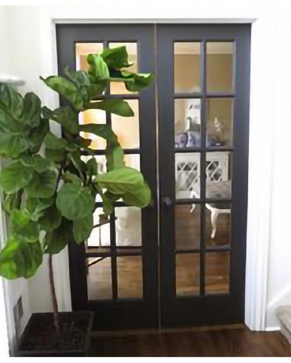 French Door SIG-25-05
