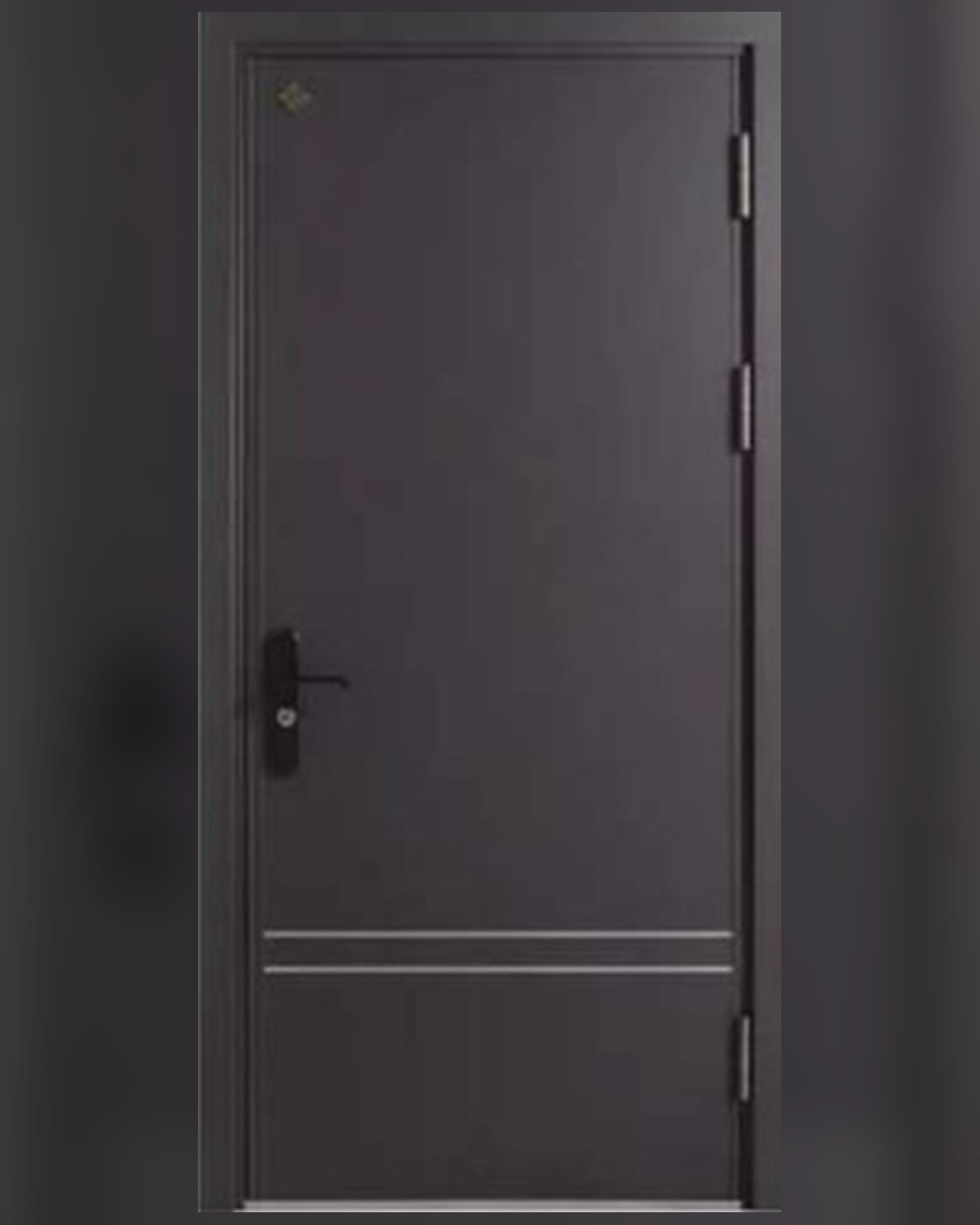 Entry Door MX-03