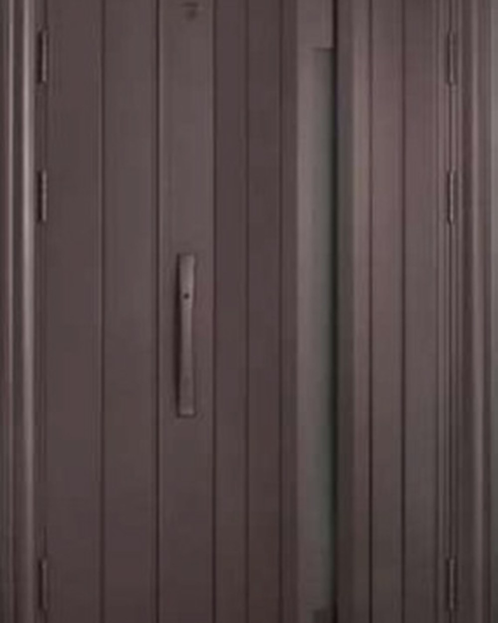 Entry Door LS-21M