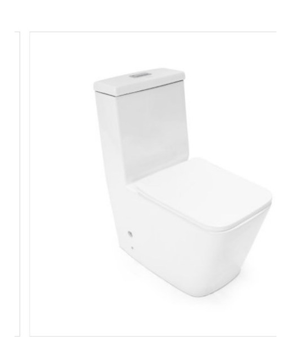 Washdown One Piece Toilet YJS-1173
