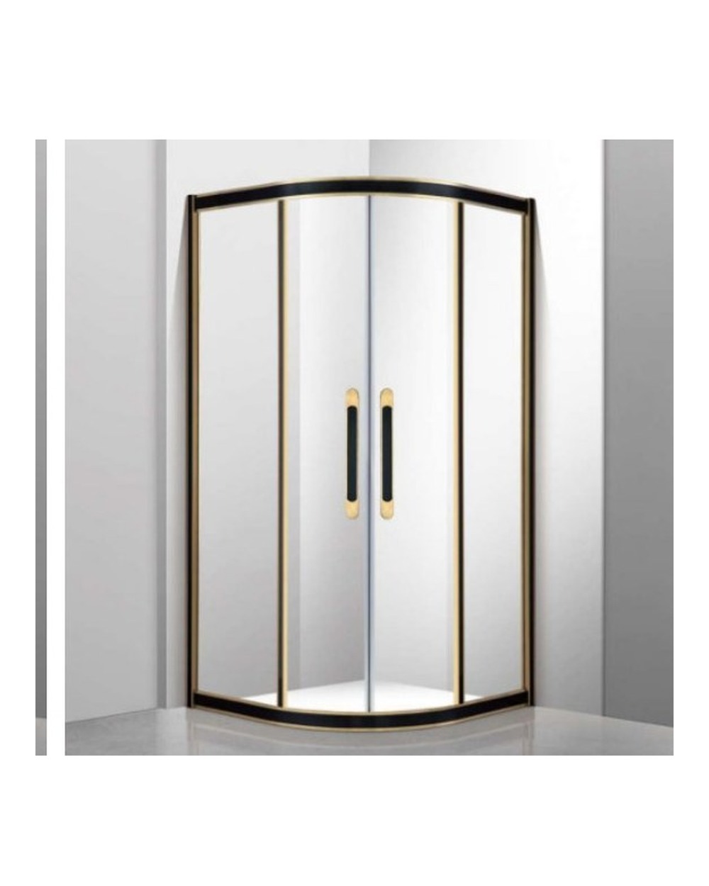 Shower Glass Door F-251A