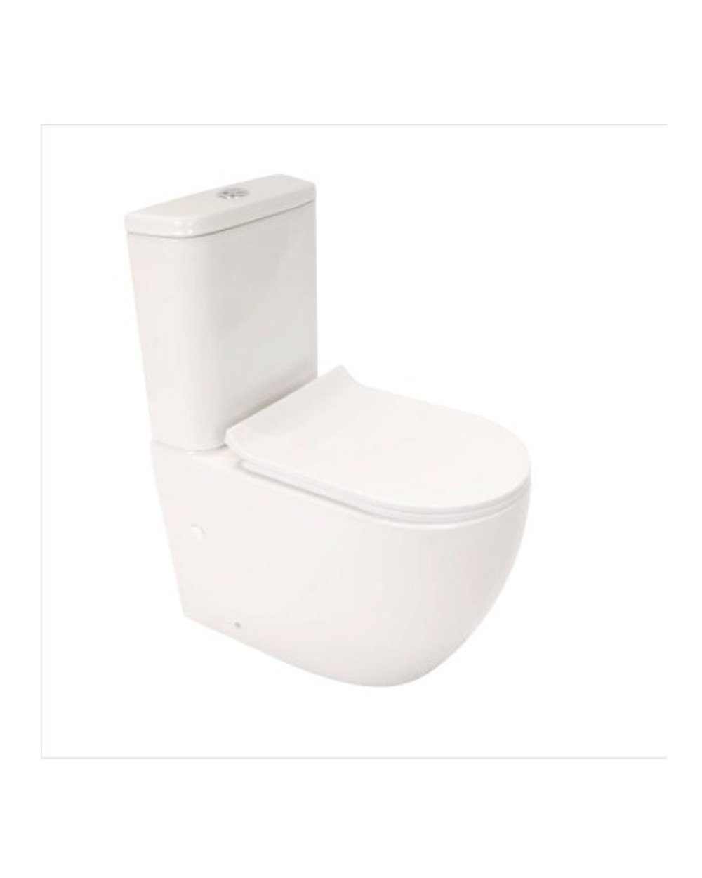 Washdown Two Piece Toilet WP-6089
