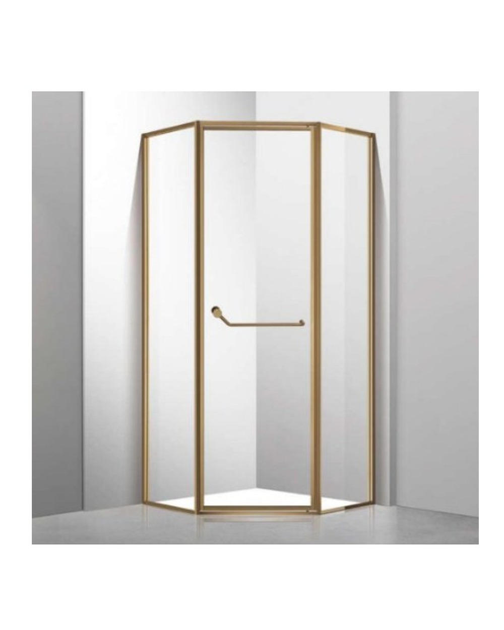 Shower Glass Door F-901