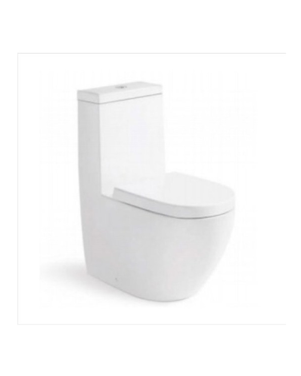 Washdown One Piece Toilet WP-A8831