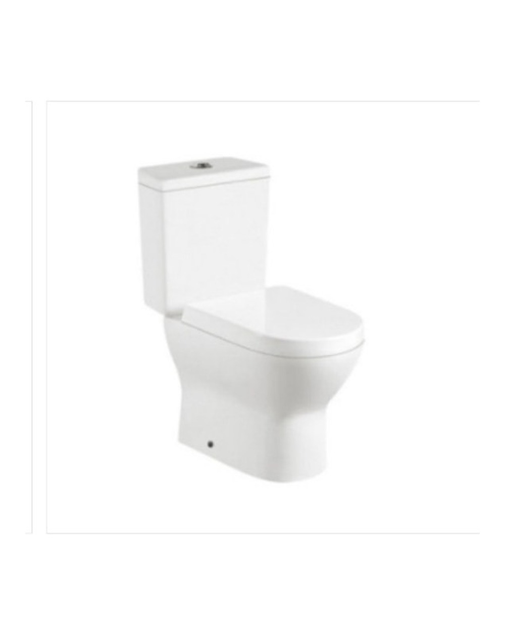 Washdown Two Piece Toilet WP-2030