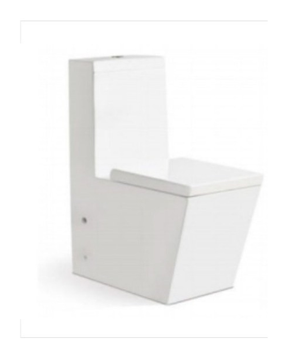 Washdown One Piece Toilet WP-A389