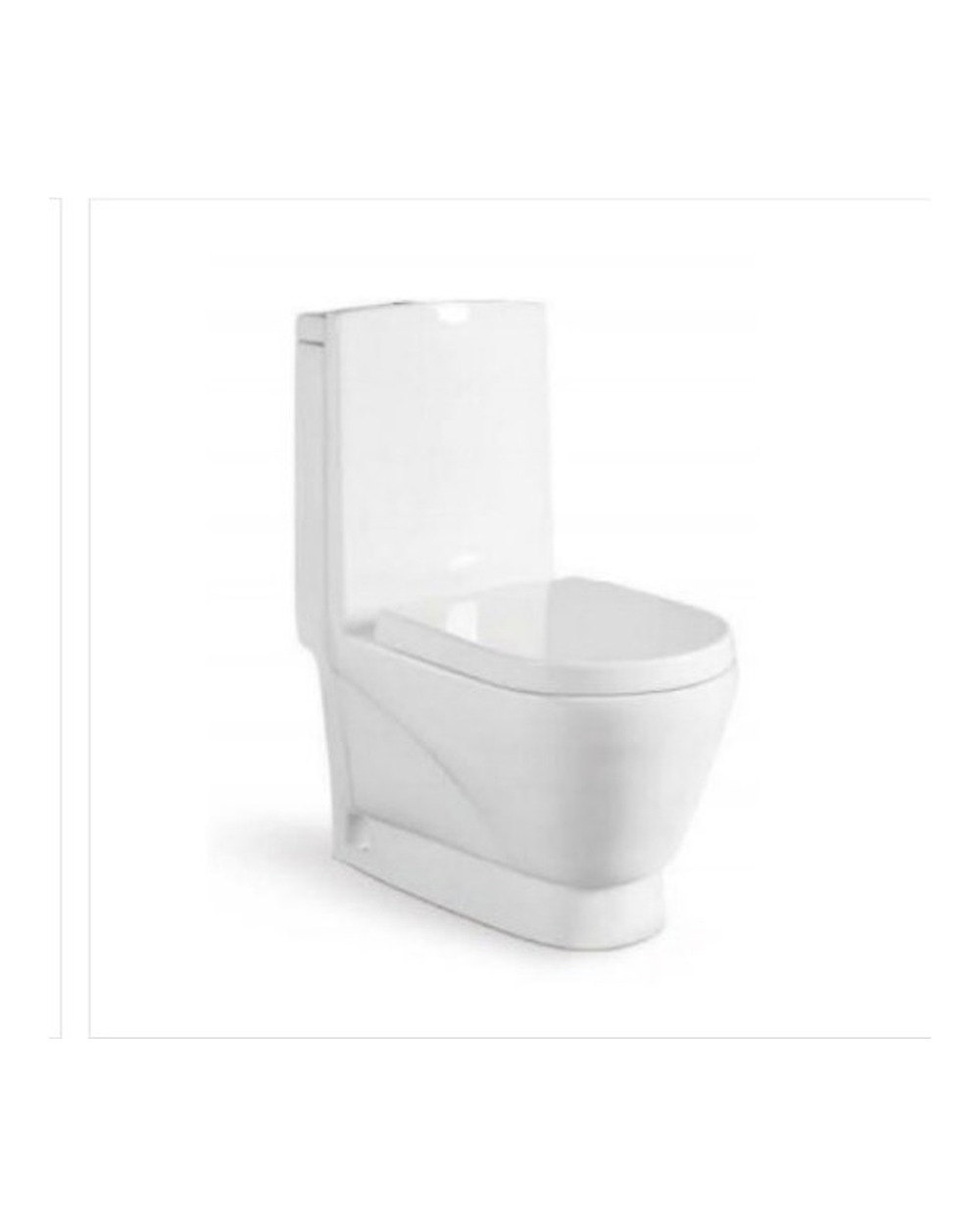 Washdown One Piece Toilet WP-1023