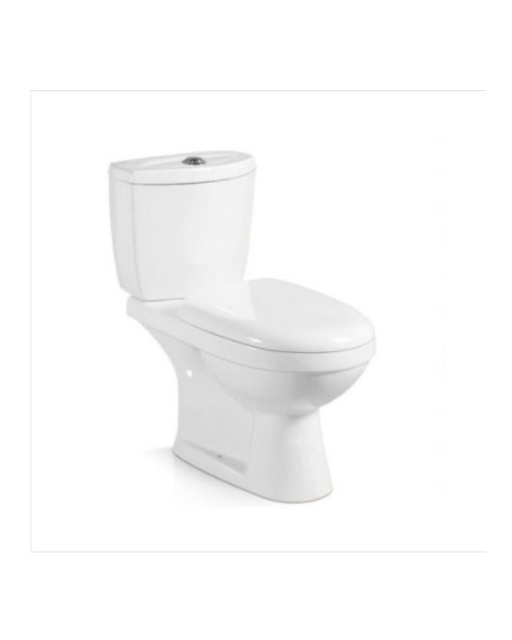 Washdown Two Piece Toilet WP-1001