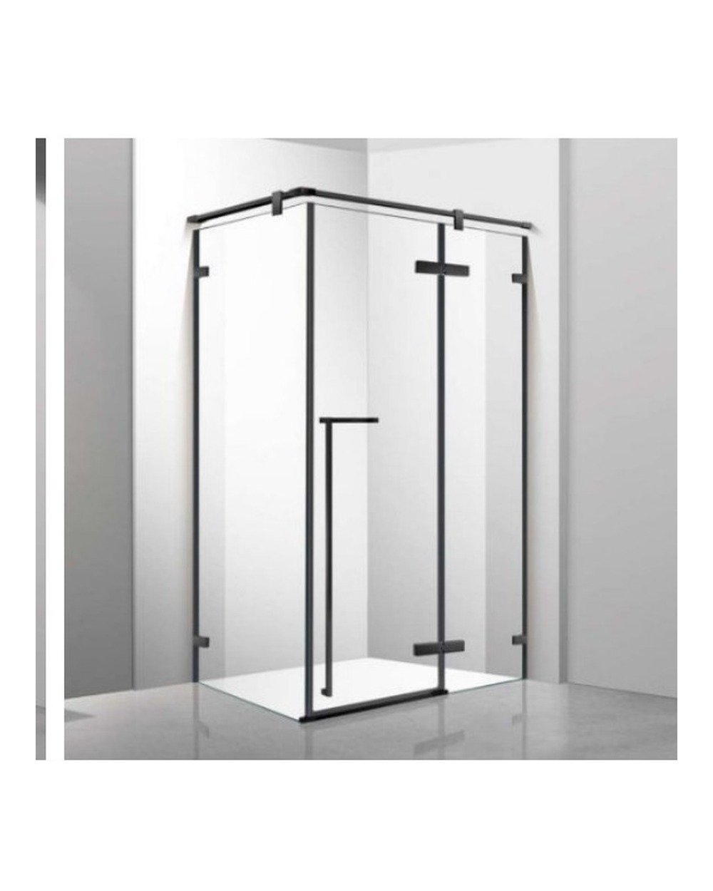 Shower Glass Door F-851