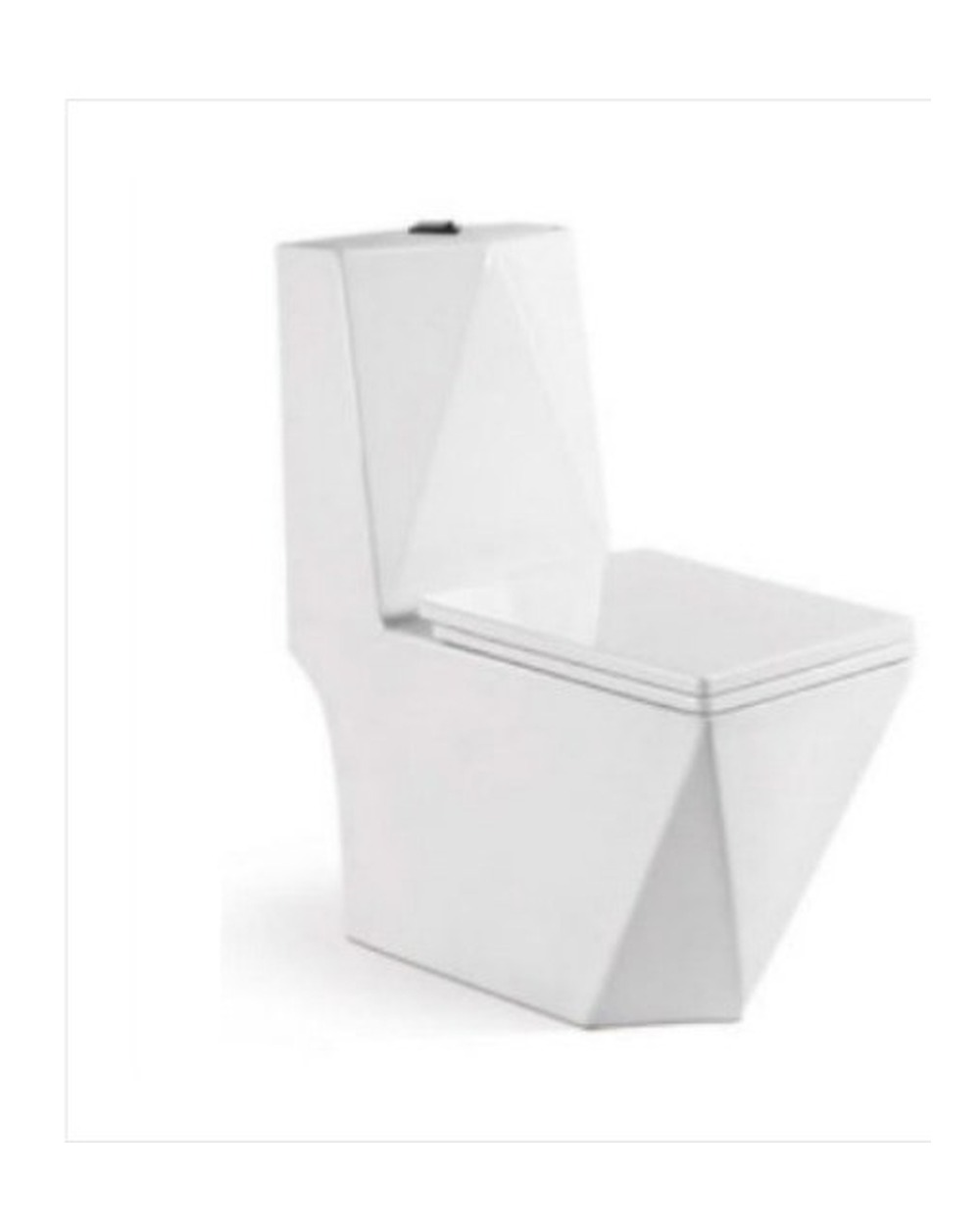 Washdown One Piece Toilet WP-1037A