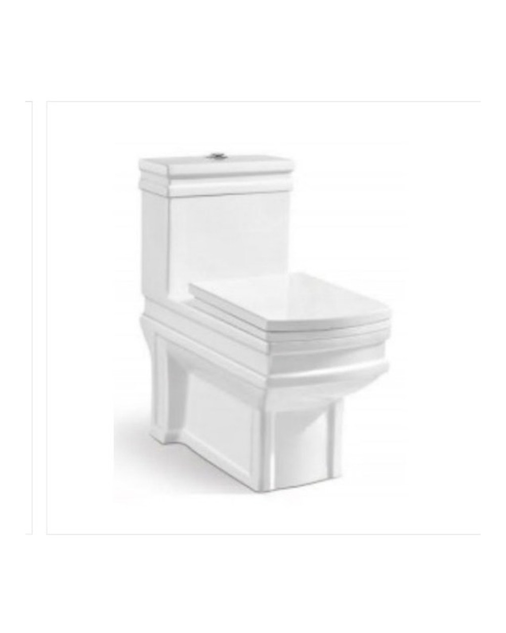 Washdown One Piece Toilet WP-8006