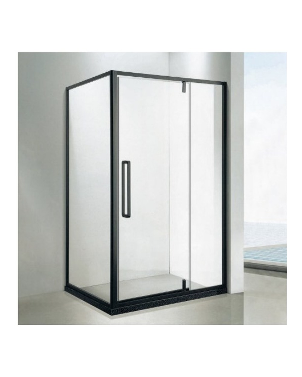 Shower Glass Door G-50L
