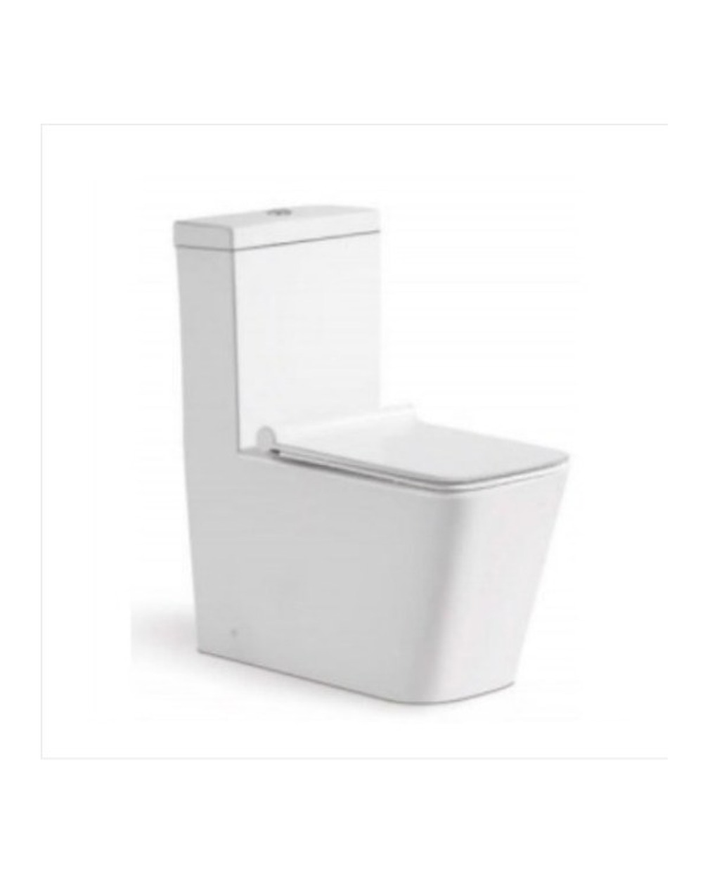 Washdown One Piece Toilet WP-A8869