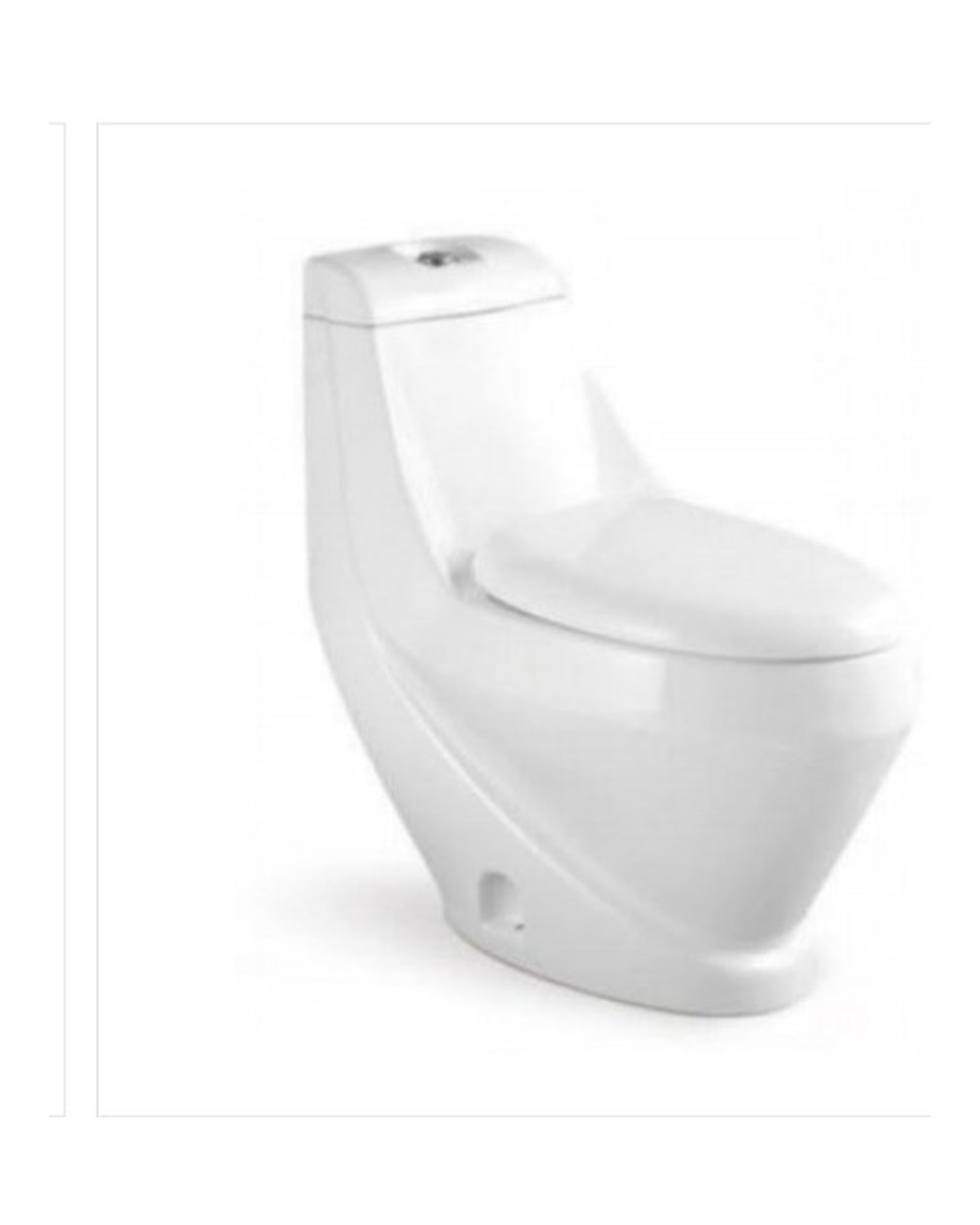 Washdown One Piece Toilet WP-1039