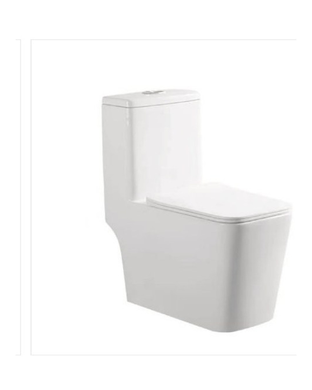 Washdown One Piece Toilet YJS-8616
