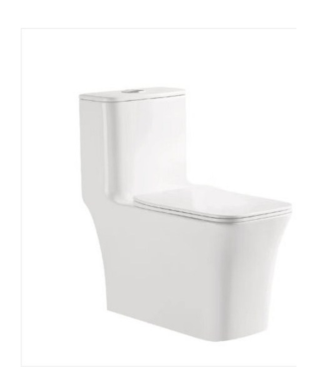 Washdown One Piece Toilet YJS-8615