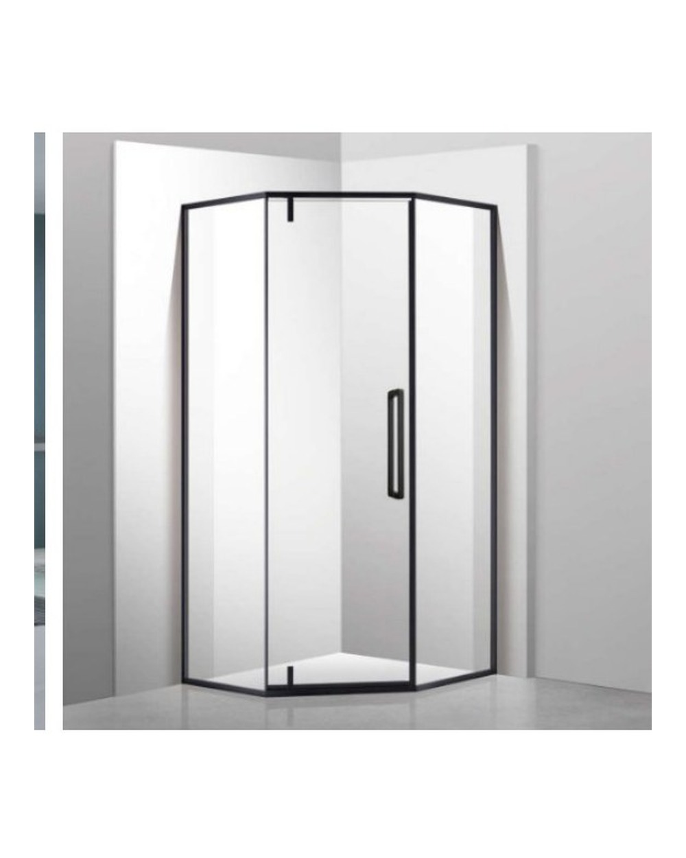 Shower Glass Door F-251