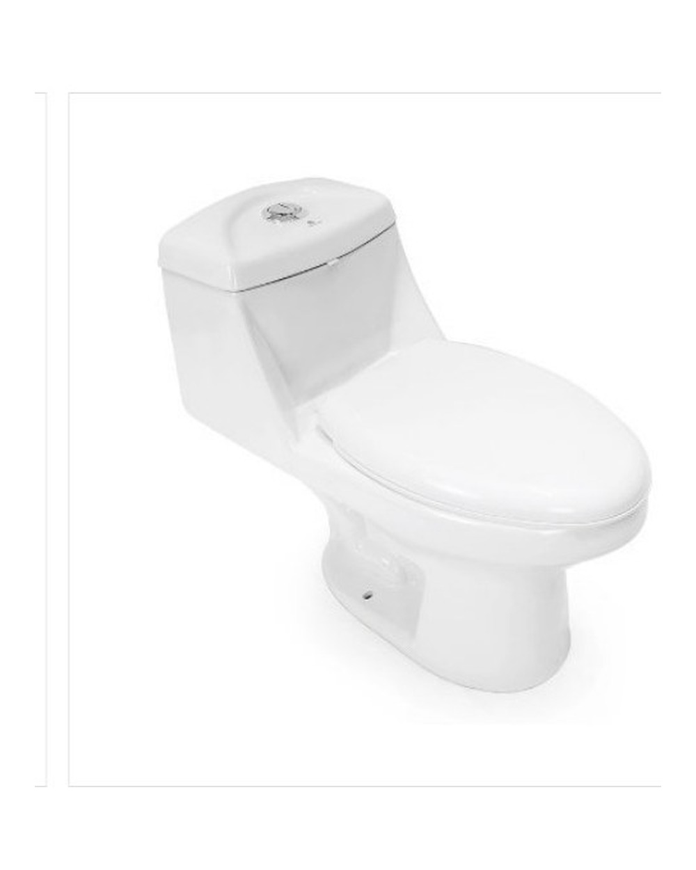 Siphonic Flush