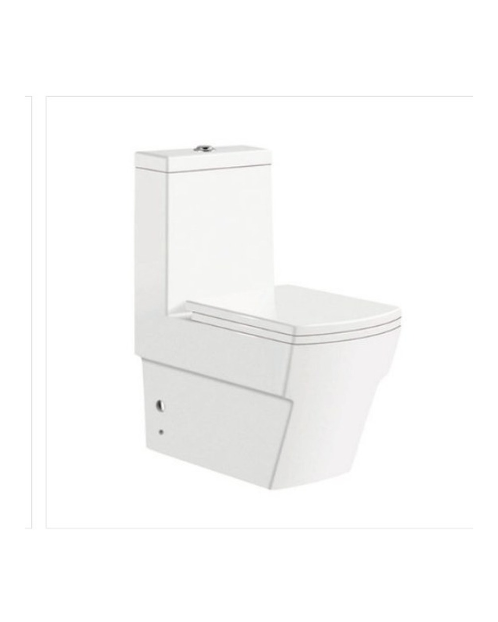 Washdown One Piece Toilet WP-0067A