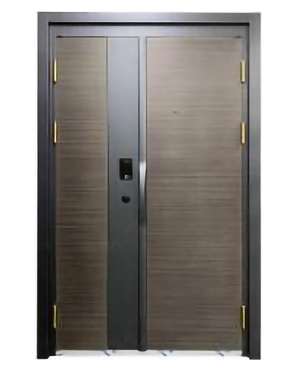Security Steel Door SIG-47-07
